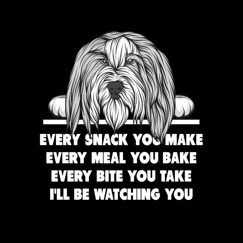 Bearded Collie
