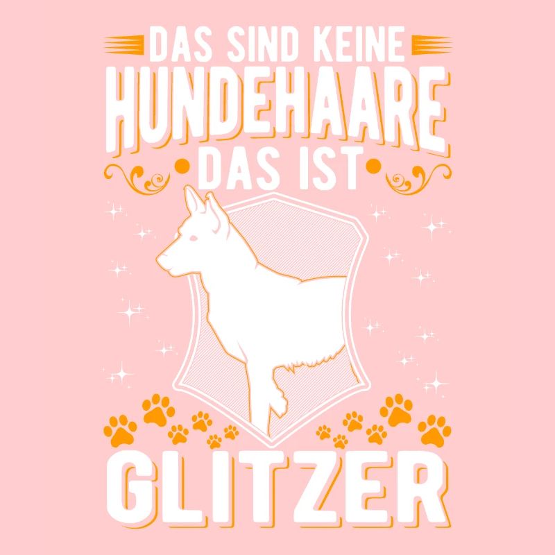 Malinois Glitzer Belgischer Schäferhund
