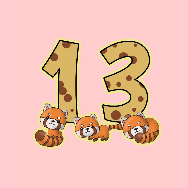 Geburtstag 13