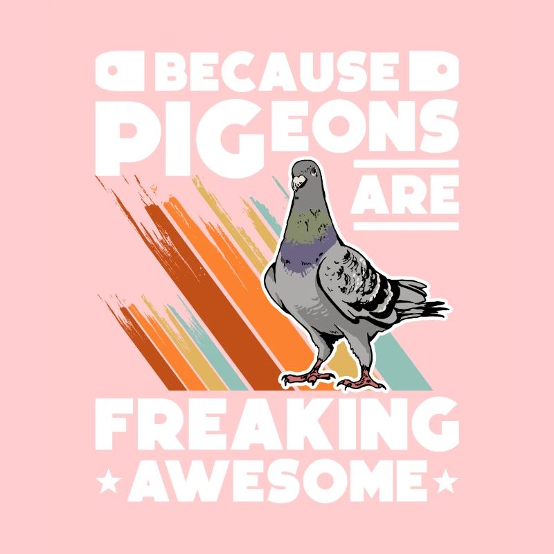 Parce que les pigeons flippent génial Taube