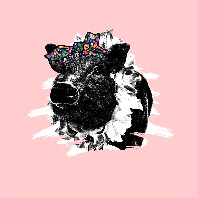 Pig