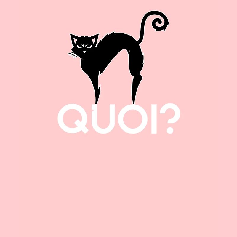 Quoi, Le Chat Noir Demande Quoi, Chats