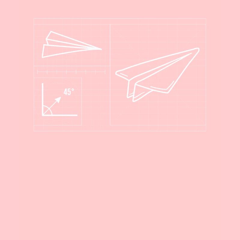 Paper Airplane Pilot Math Teacher Engineer