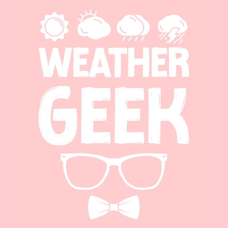 Meteorologist Weather Forecast