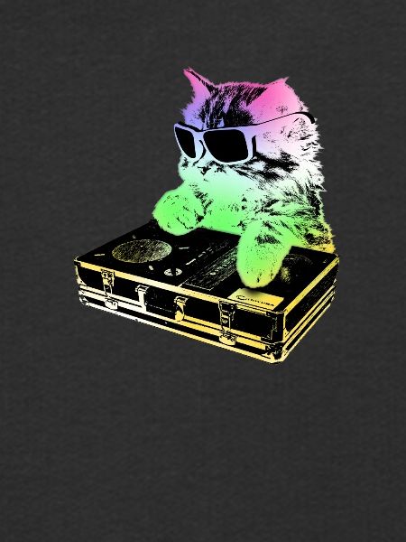 Rainbow DJ Cat - scratchen