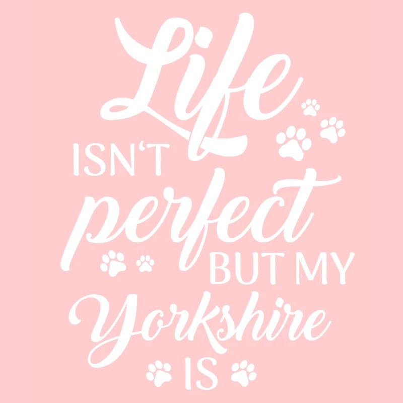 Yorkshire Terrier Dog