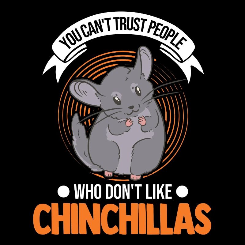 Chinchilla Cadeau Souris laineuse Chinchilla à queue courte