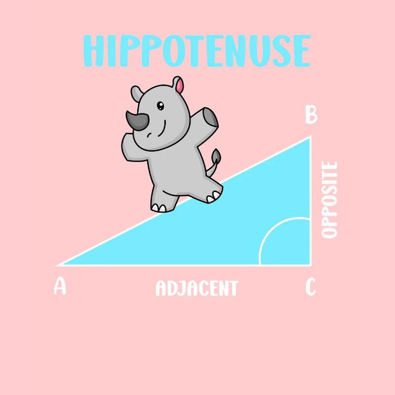 Hippotenuse Mathelehrer Mathematiker