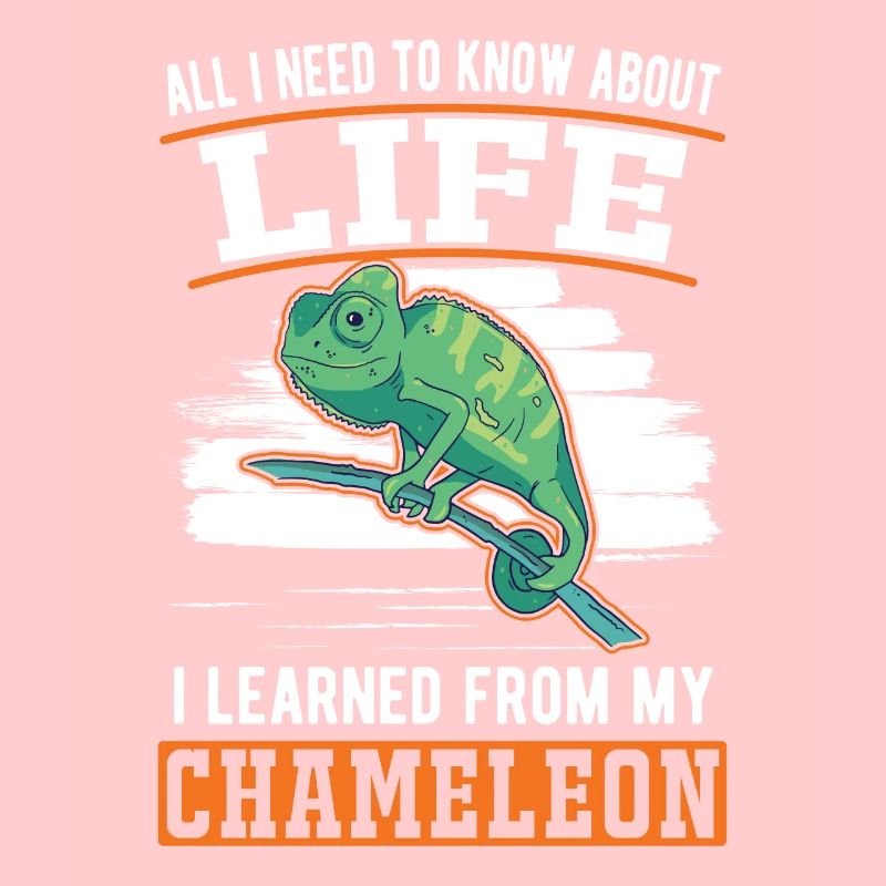 Chamäleon GeschenkChameleon