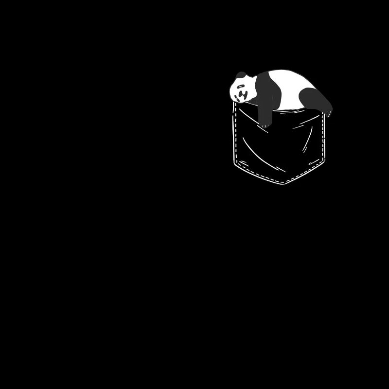 Panda Bear Panda Animal Pandas
