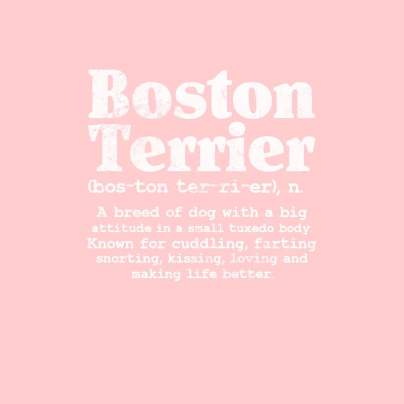 Boston Terrier