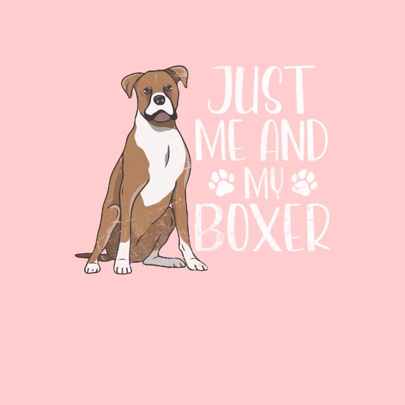 Boxer Hund