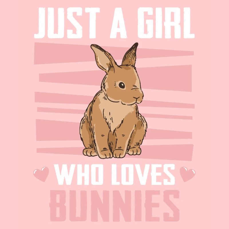 Rabbit Animal Pet Rabbit
