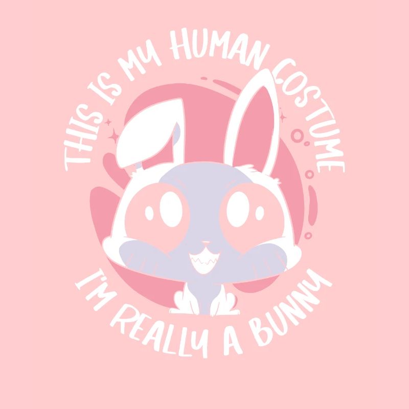 Rabbit Animal Pet Rabbit