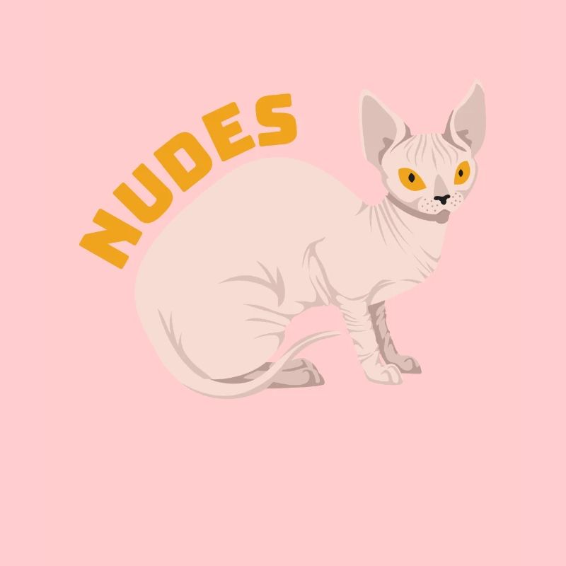 Chaton chat Sphynx nu