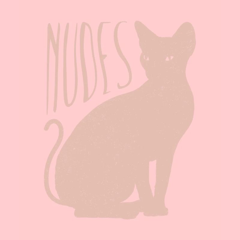 Chaton chat Sphynx nu