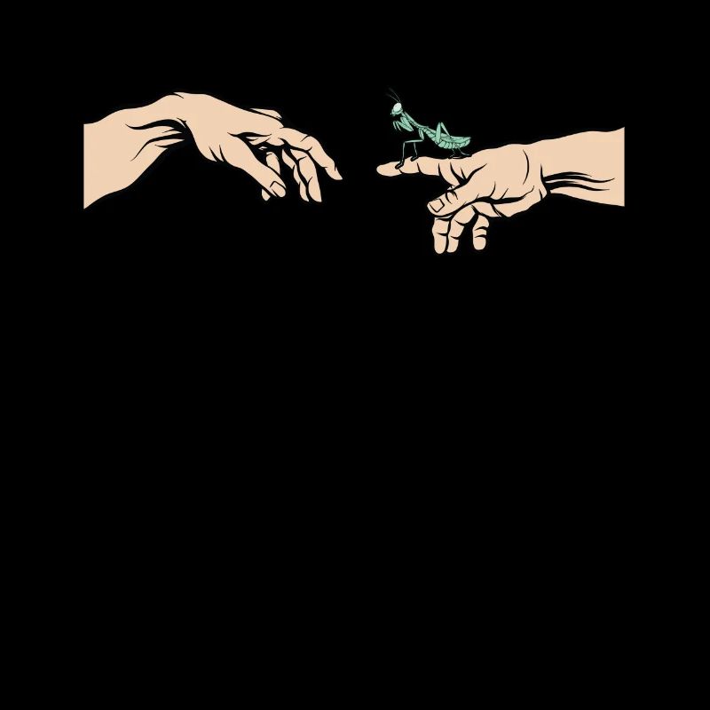 Gottesanbeterin Mantis religiosa Lustiges Mantis