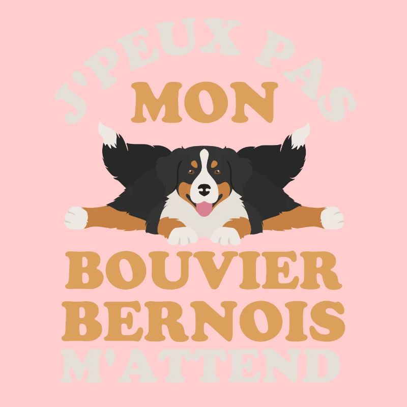 Bouvier bernois 1