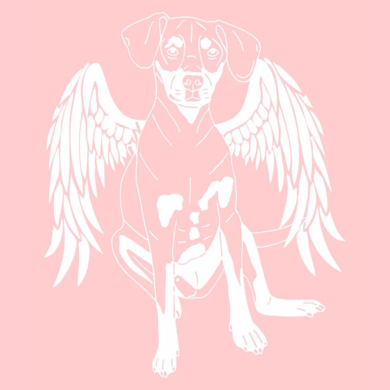 Pinscher Mix mit Flügeln