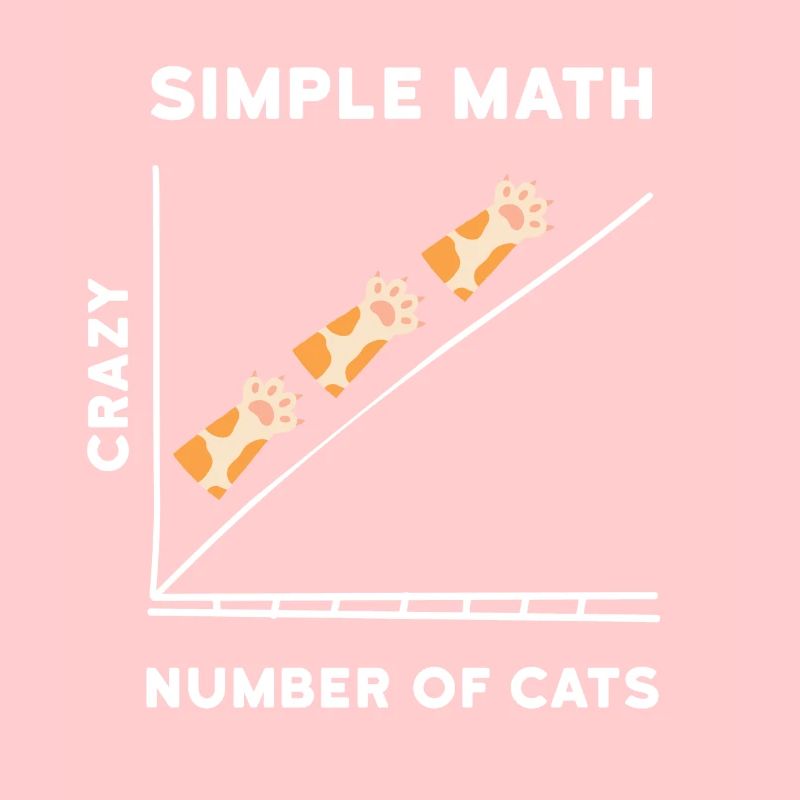 Chats chatons mathématiques simples