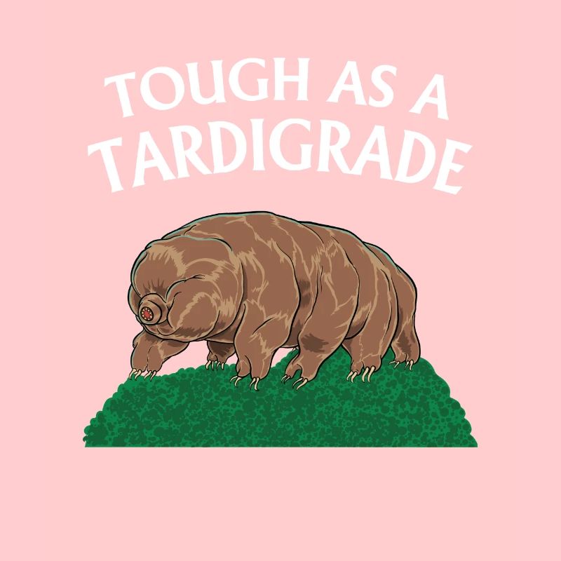 Touch As A Tardigrade Bärtierchen