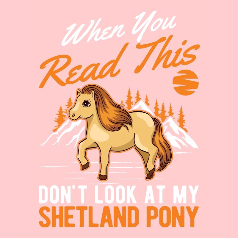 Shetland Pony Cadeau Shetty