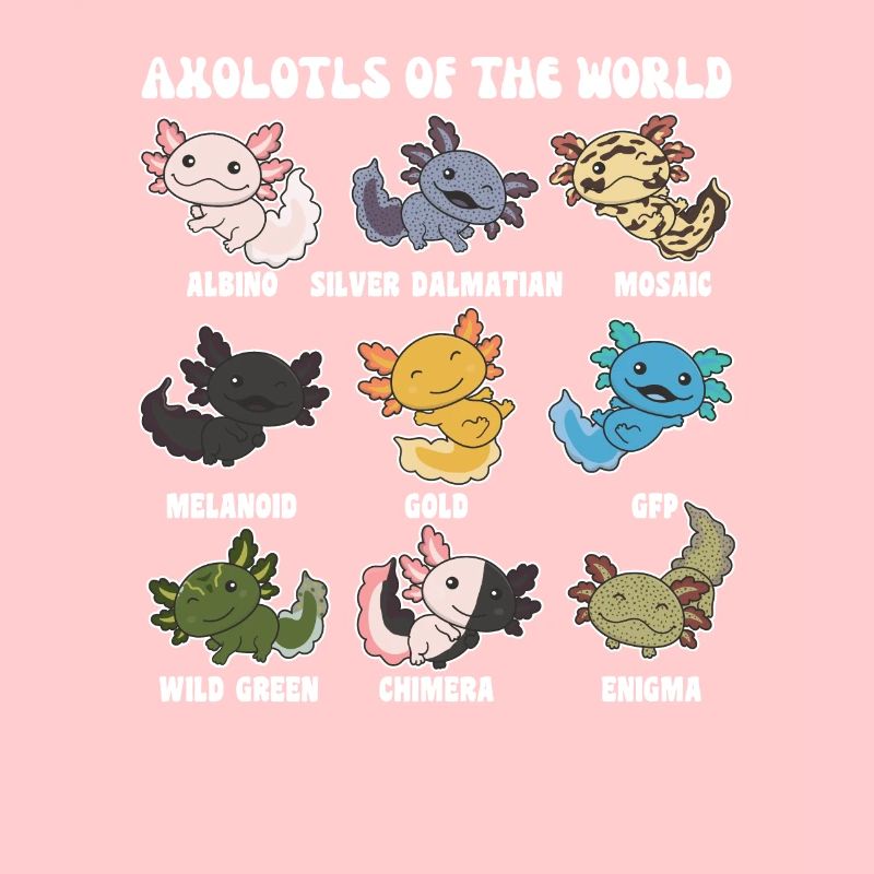 Axolotls du monde animaux mignons Axolotl espèces