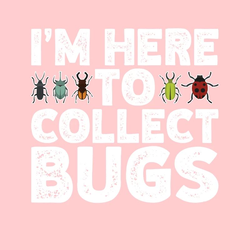 Insect
