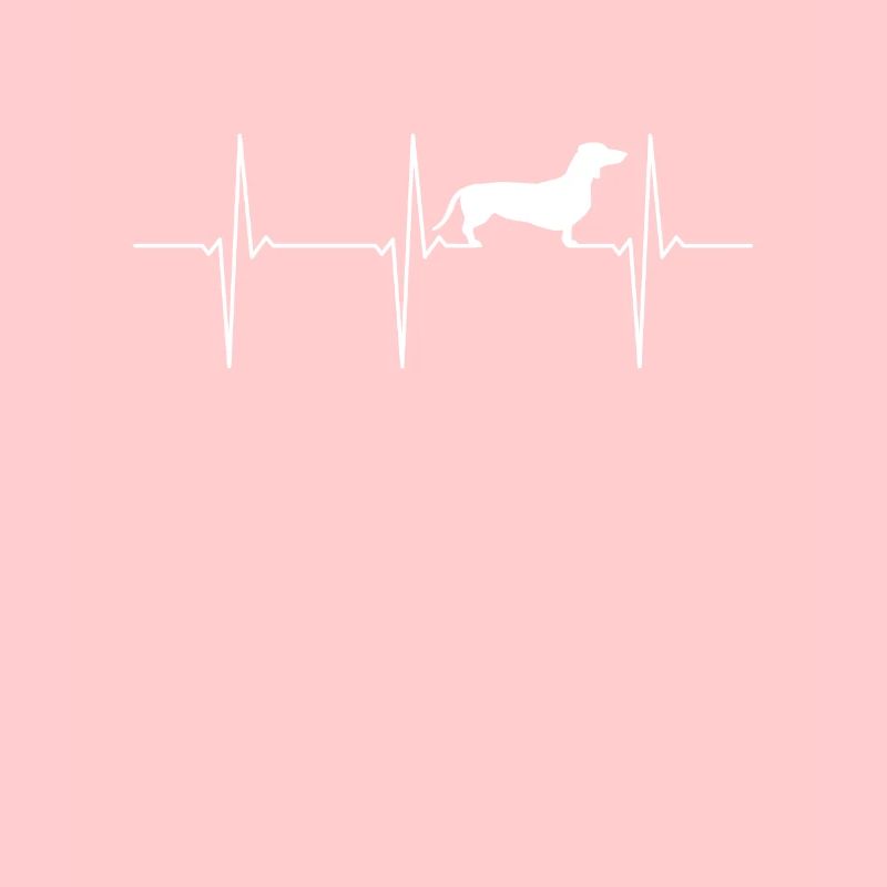 Dachshund ECG