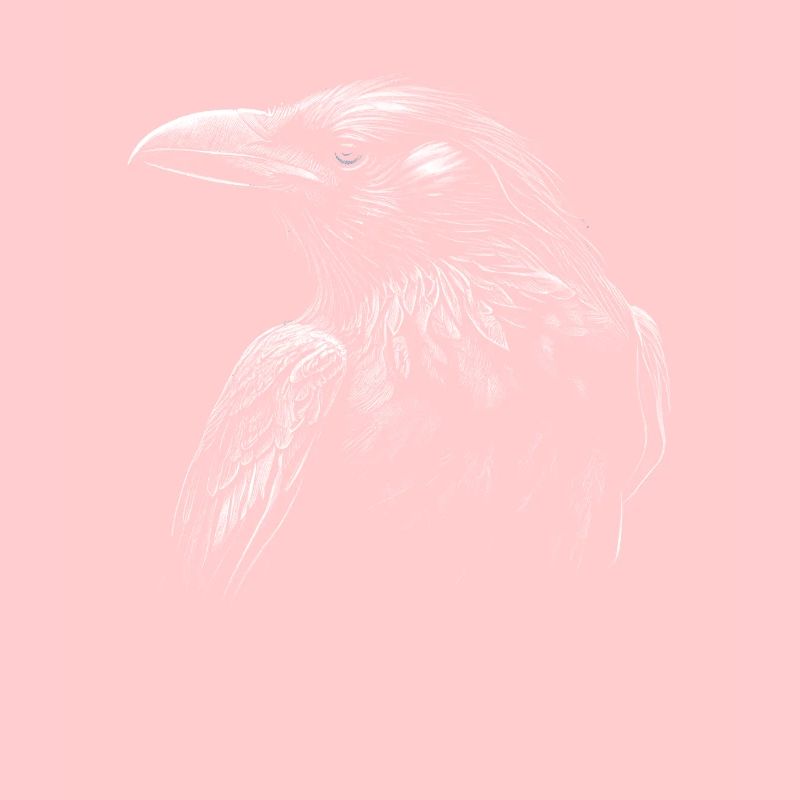 Gothic Moon Black Crow