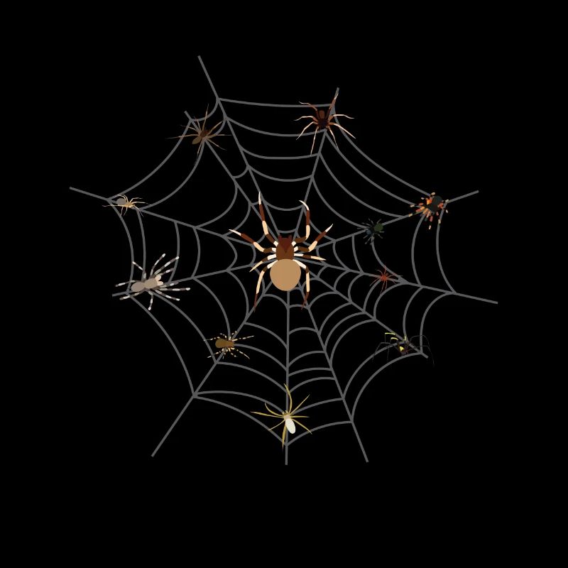 spider web spider tarantula