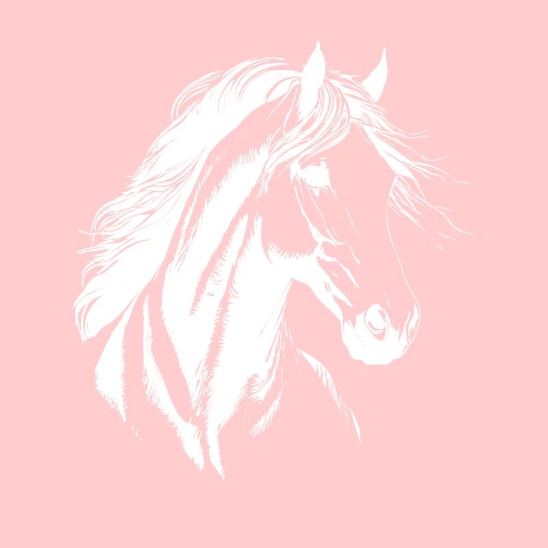 Pferde Silhouette Reiten Reiter
