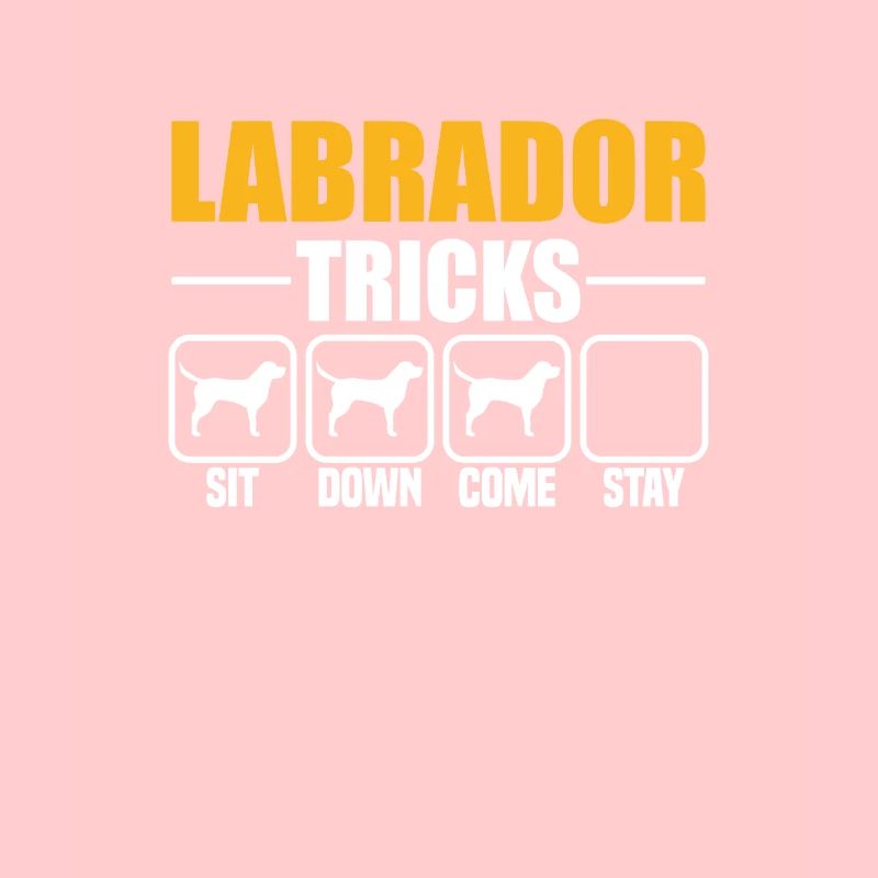Astuces du Labrador