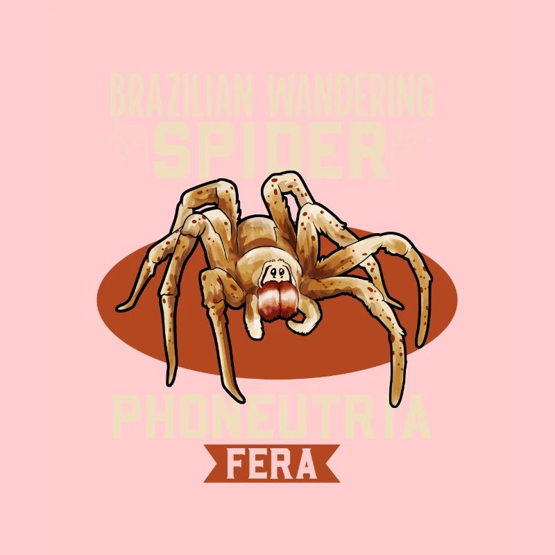 Araignée errante brésilienne