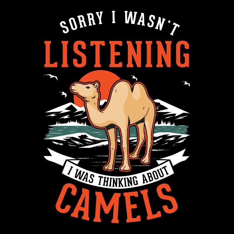 Kamel Dromedar Ägypten Geschenk Großkamel