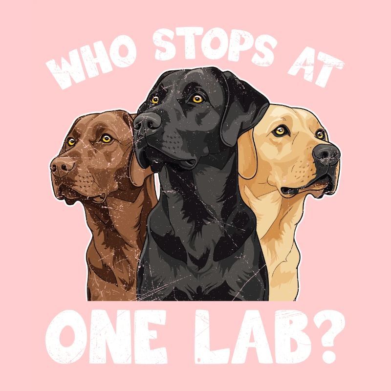 Funny Labrador WHO STOPS AT ONE LAB? Labrador