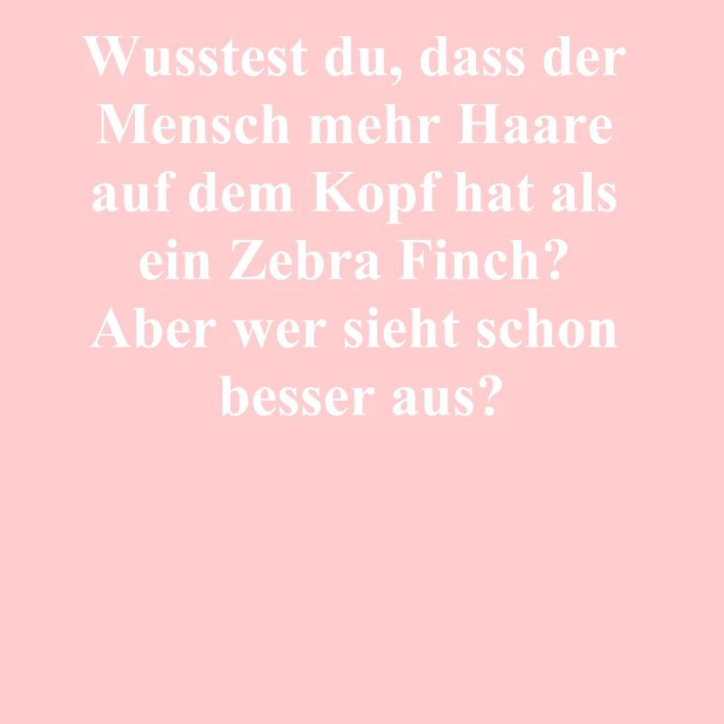 Haariger Spaß Geschenk