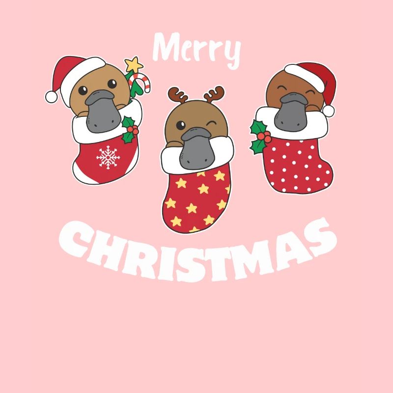 Cute platypus in Christmas sock too