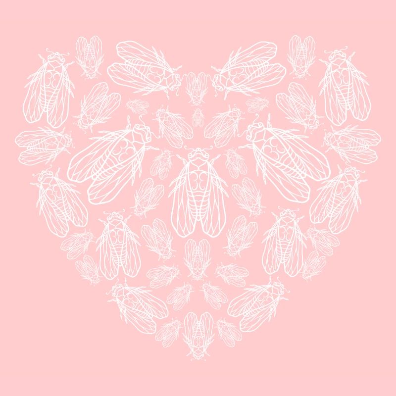 Cicadas Heart