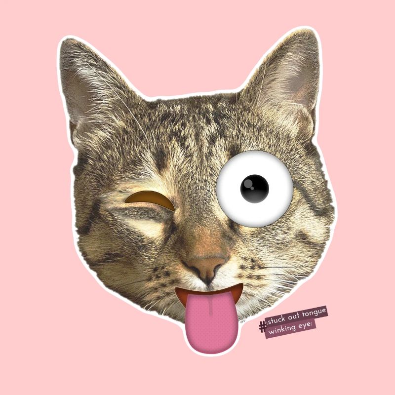 Langue de chat