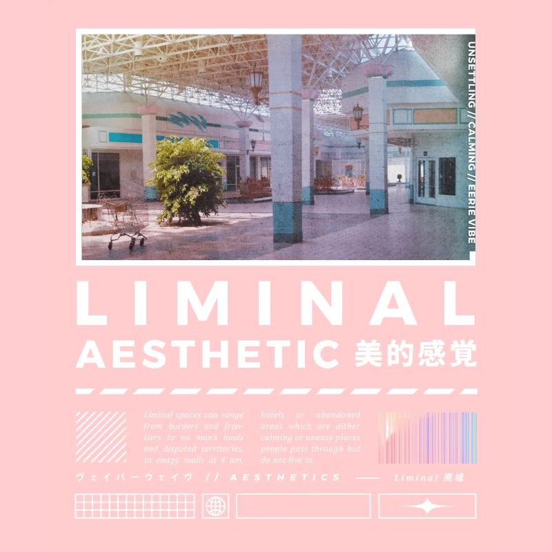 Liminal Spaces Retro 80s & 90s Backrooms Vaporwave