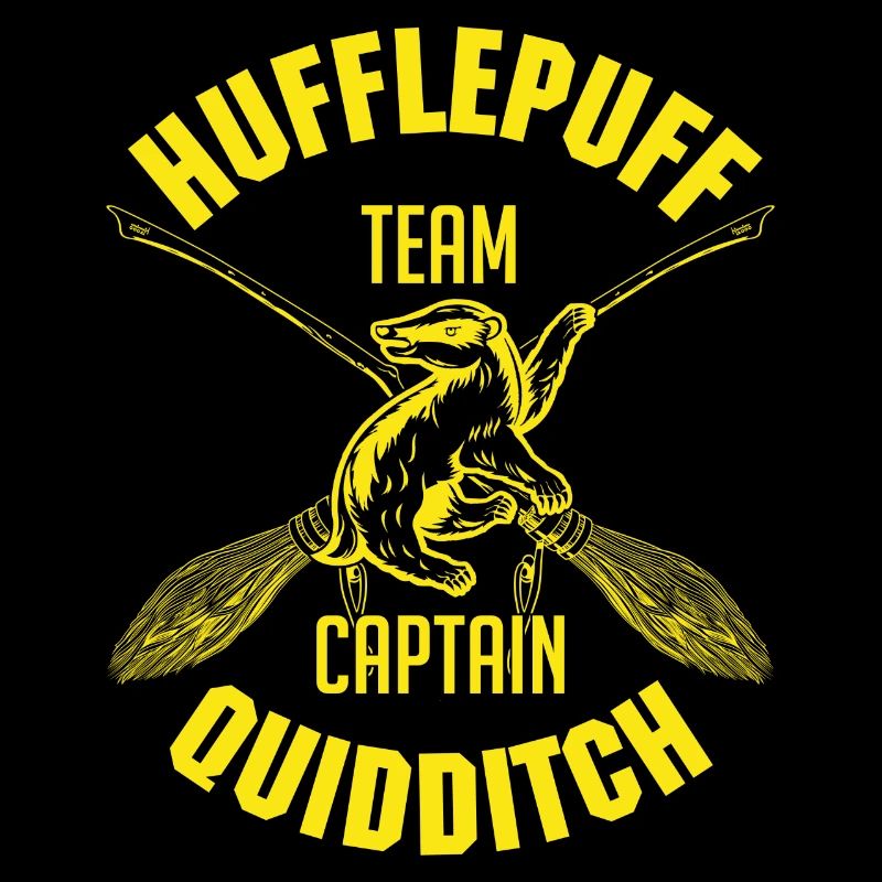 Harry Potter Hufflepuff Team Captain Quidditch