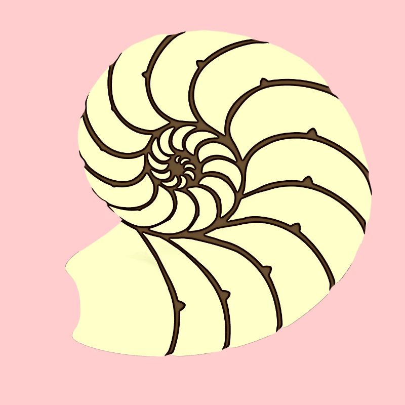 Ammoniten, Urzeitliches Wassertier, Badezimmer