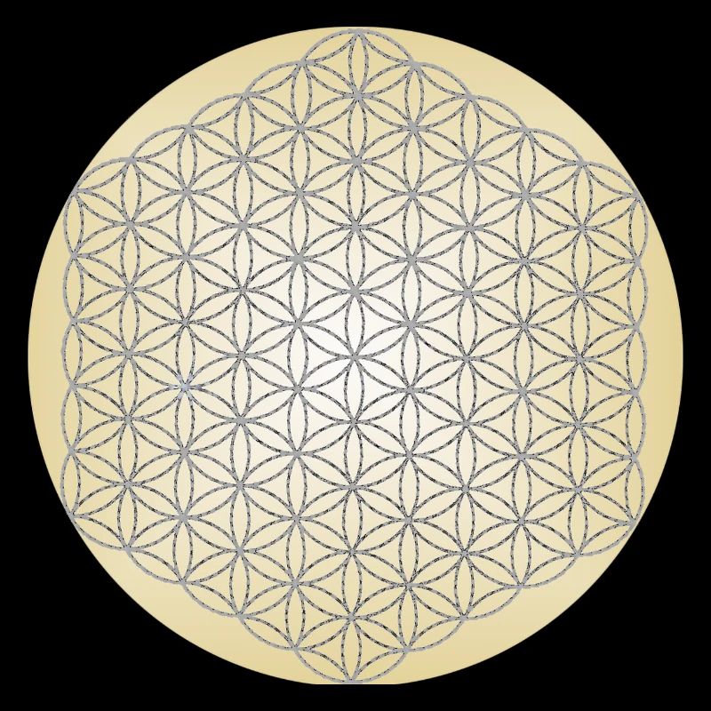 Fleur de Vie Argent - 5ème Dimension - Mandala
