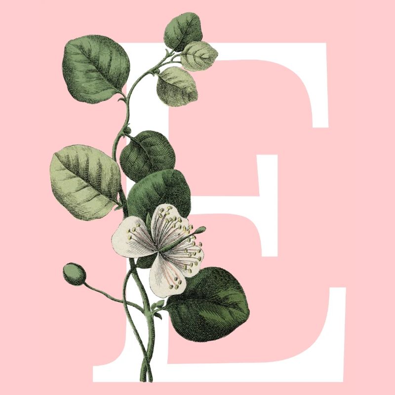 Grüner botanischer Buchstabe E