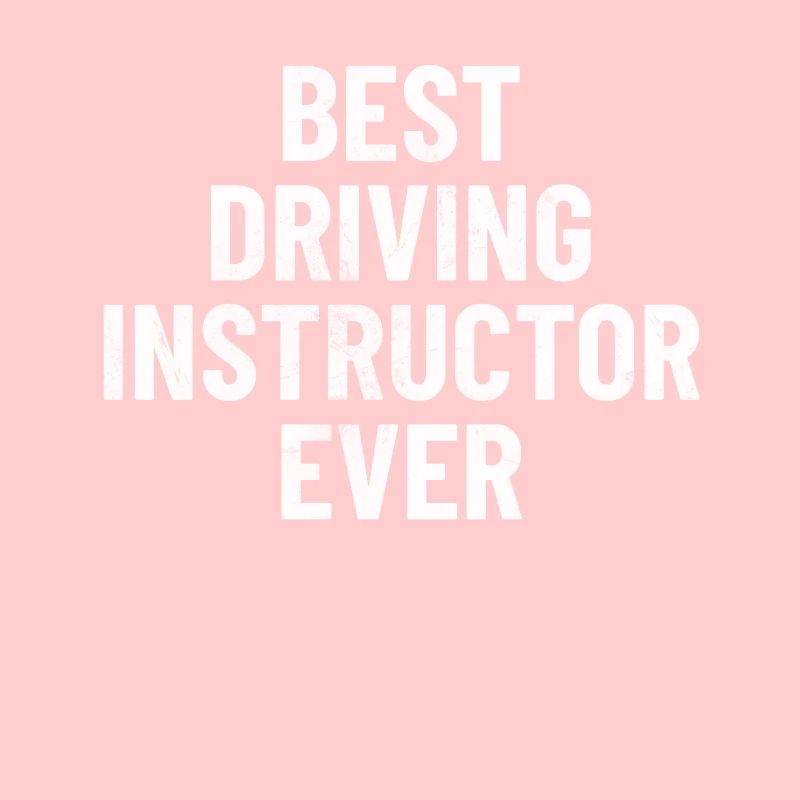 Best Driving Instructor Ever Driving School
