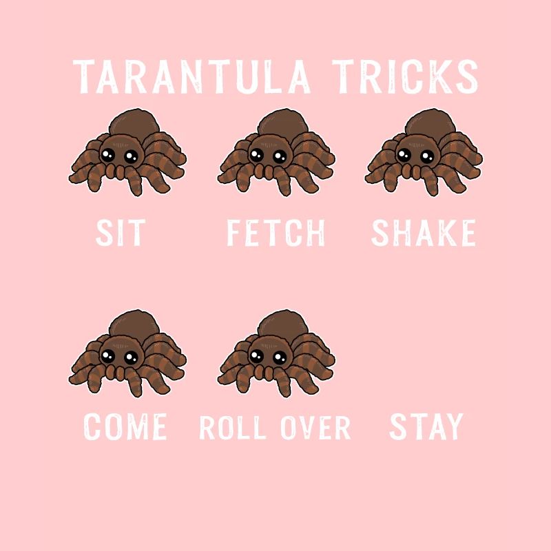 Tarantula Tricks Spinne Geschenk