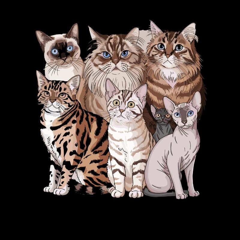 Illustration de différentes races de chats