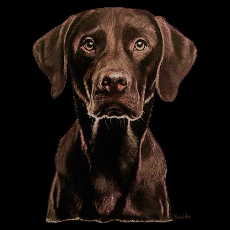 Labrador