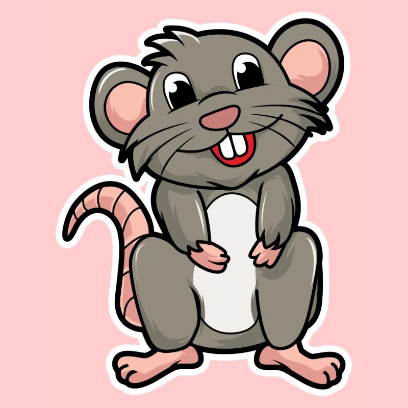 rat